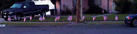 House with two dozen flags in front