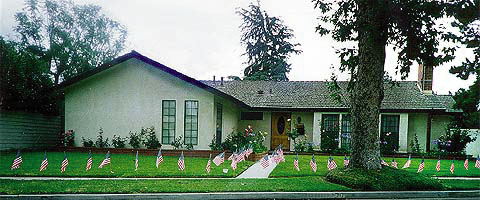 FLAG DAY